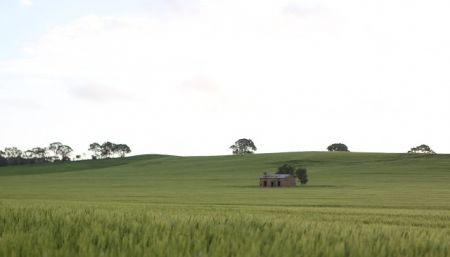 Murray Town