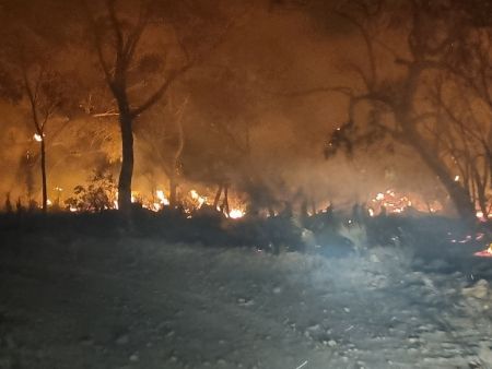 Bushfire front at night