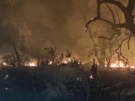 Bushfire