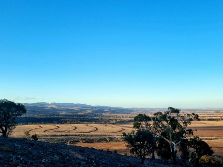 View of paddock and ranges from Mount Maria