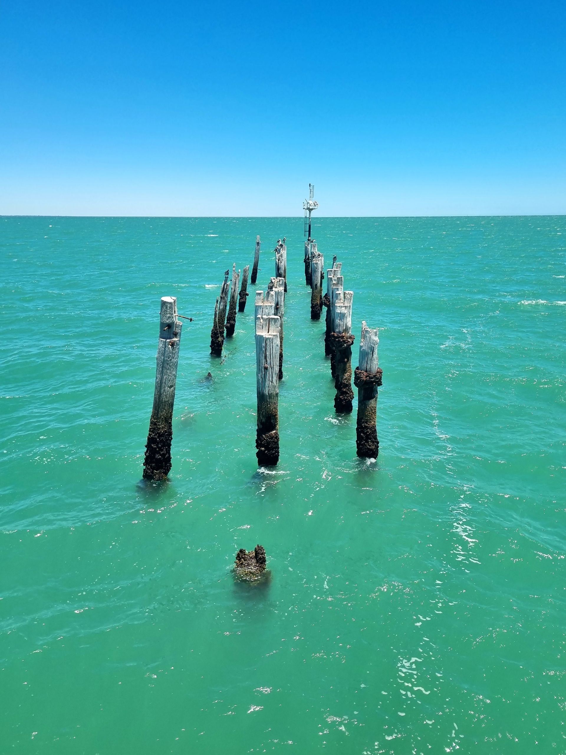 Old wooden jetty pylons in jade green Port Germein sea