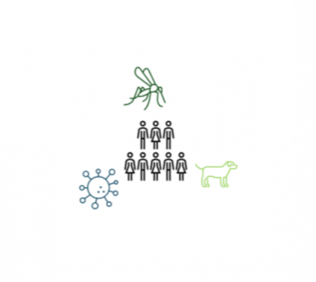 Humanoid figures surrounded by health related figures such as a mosquito and pathogens.