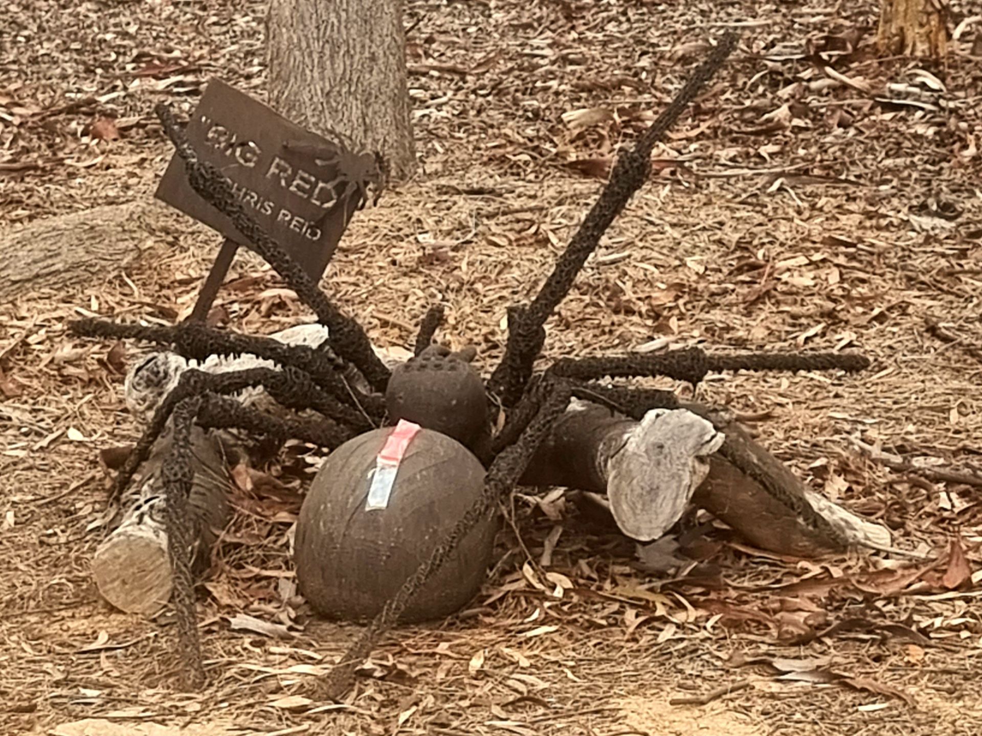 Outdoor metal sculpture depicting a spider