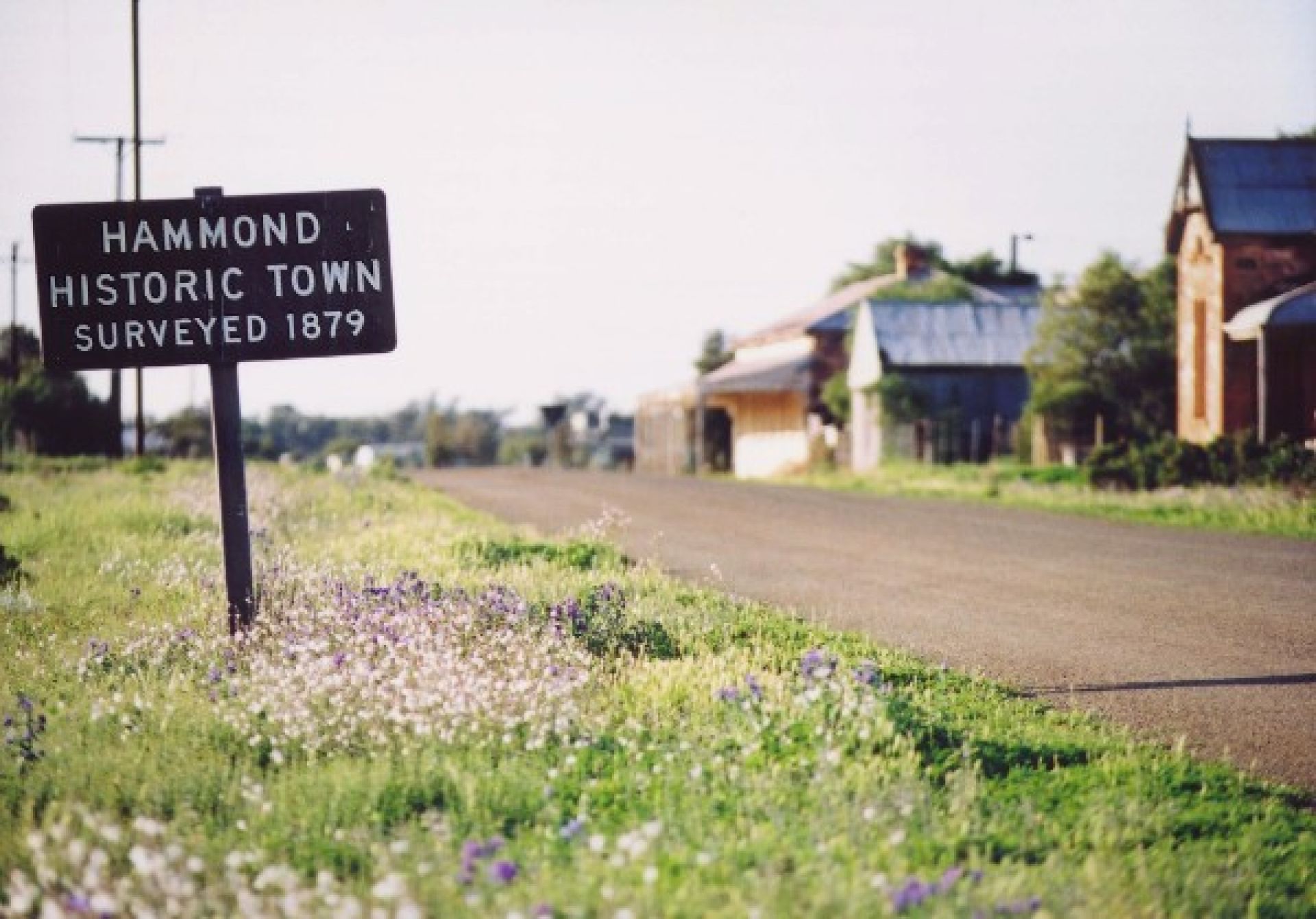 Hammond Survey Sign