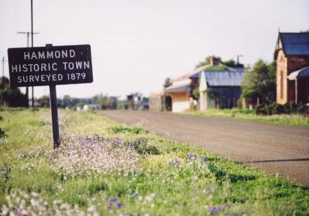 Hammond Survey Sign